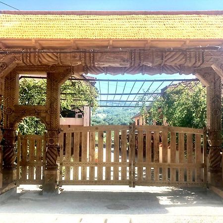 Pensiunea Sasu Şieu Exterior foto